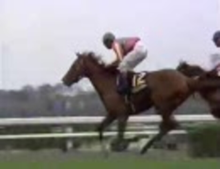 1999年(平成11年) 皐月賞 テイエムオペラオー - ニコニコ動画