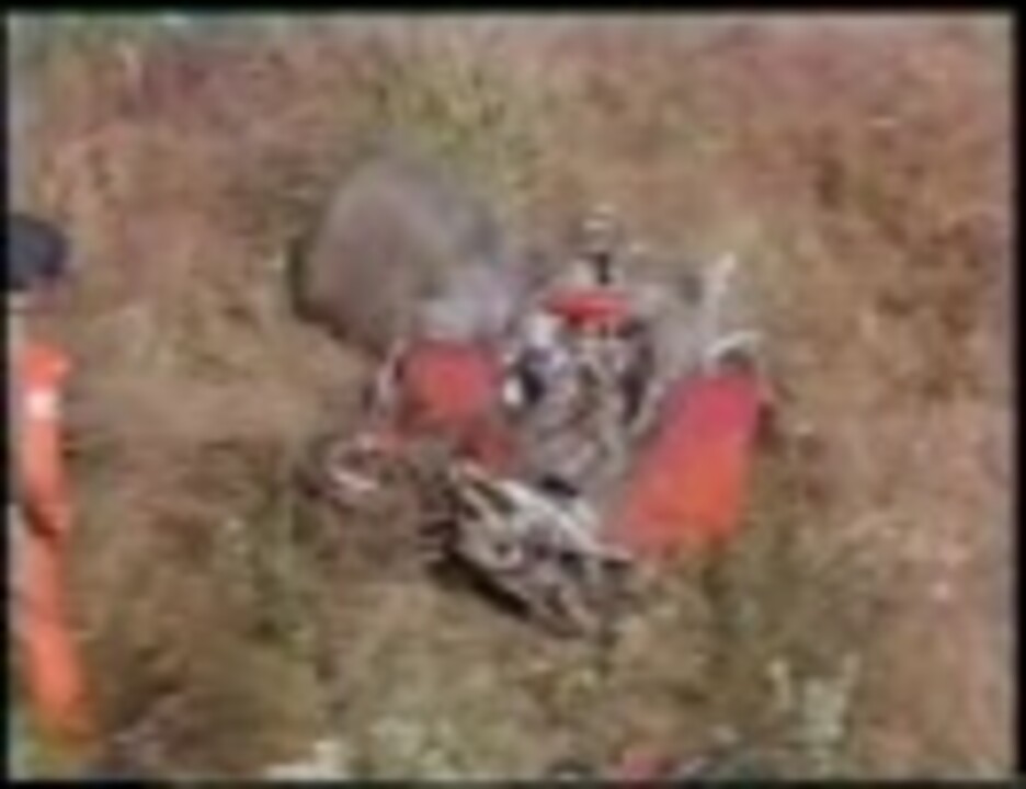 F1日本グランプリ1977.VHSテープ 1977年F1日本グランプリでの