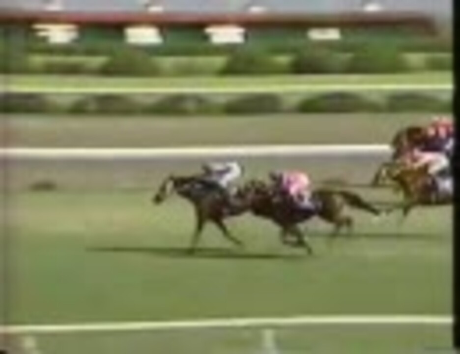 1990年(平成2年) 天皇賞(春) スーパークリーク - ニコニコ動画