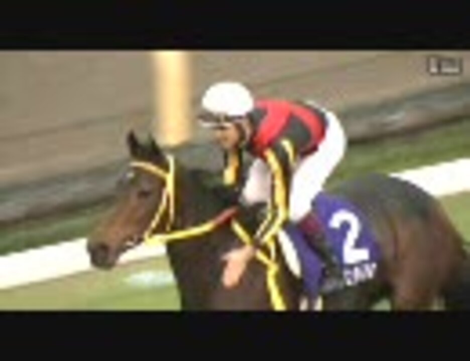 【競馬】 2010 天皇賞（秋） ブエナビスタ 【全部盛り】