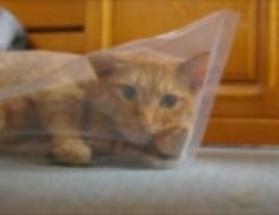 27 - That's Euro Vol.27 - ニコニコ動画