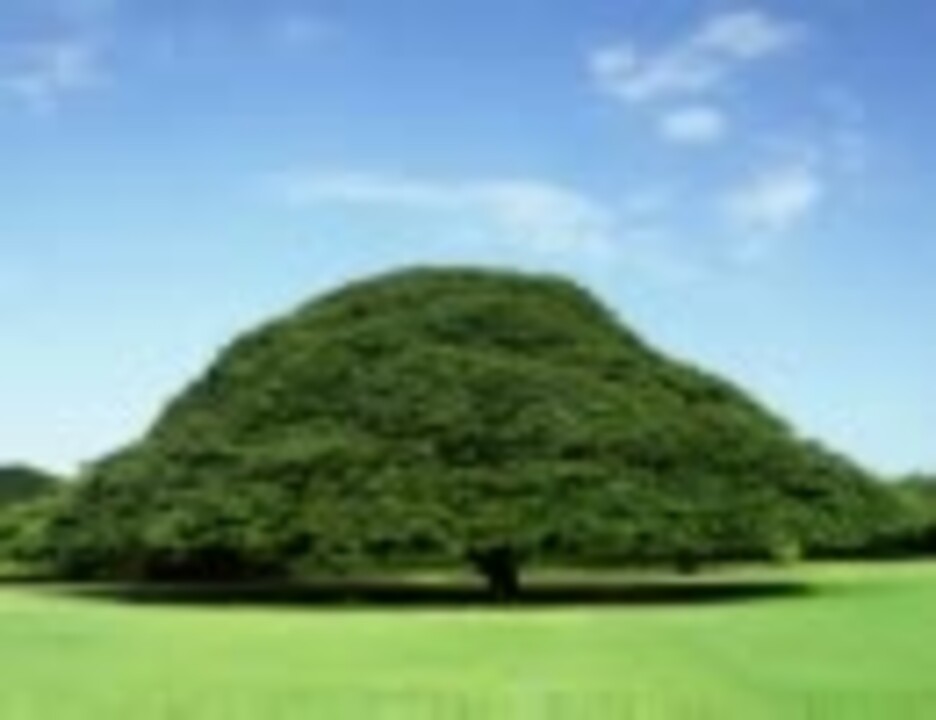 この木なんの木～何の木。木～原君 - ニコニコ動画