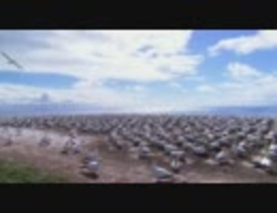 ニコニコ大会議2010-2011完全版~ありがとう100万人~ 凸凹+α:未使用 約11,000人が熱狂！ ＜ニコニコ大会議2010秋～それはロックか