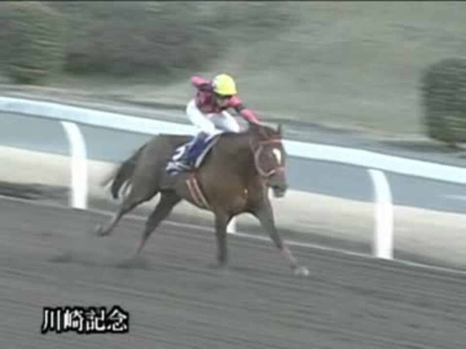 競馬】 2012 川崎記念 スマートファルコン 【全部盛り
