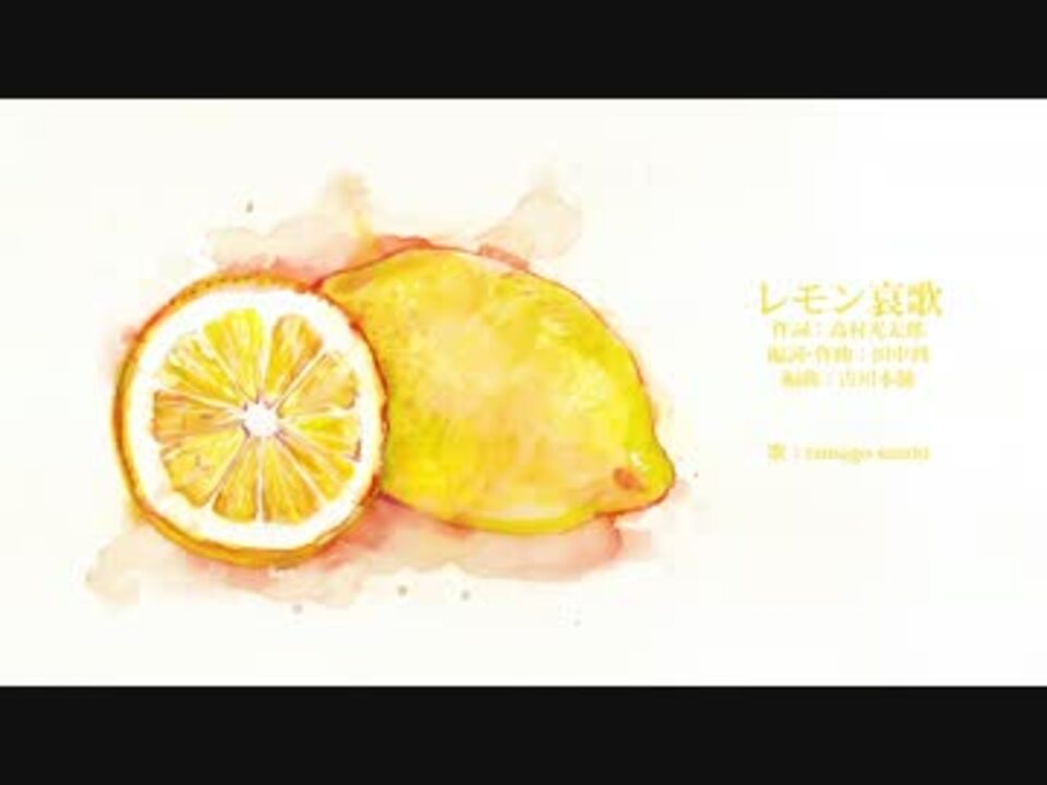 ⭐宮古島  レモン ⭐ パンダ ① ✿𝒏𝒐𝒆𝒍 & 𝒎𝒐𝒌𝒐 ✿ | 🐼🐼🐼🎋 みんなでパンダまみれ