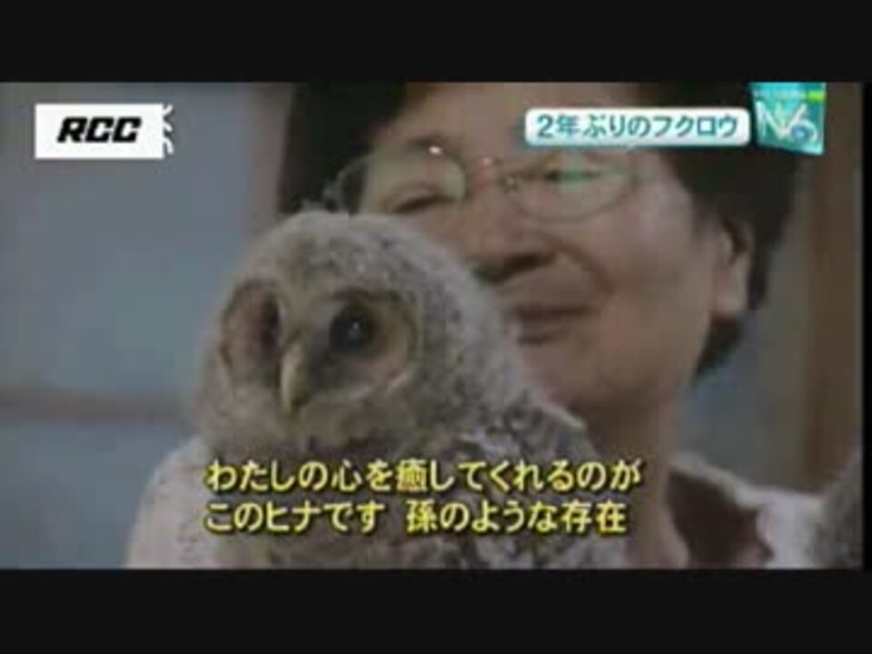 フクロウとおばあちゃん フクロウとおばあちゃん