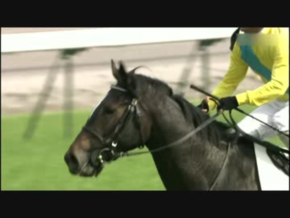 JRA 第74回 日本ダービー (東京優駿) - ウオッカ (四位洋文