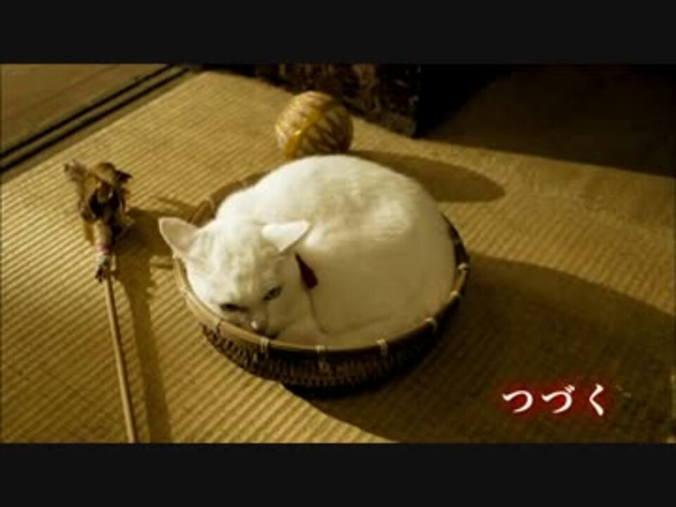 「猫侍」サウンドトラック 猫侍 Season2」主題歌特別PV - YouTube