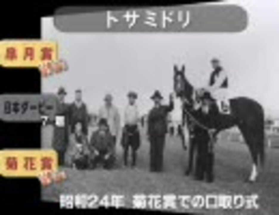 競馬】 歴代二冠馬 ～昭和編～ - ニコニコ動画