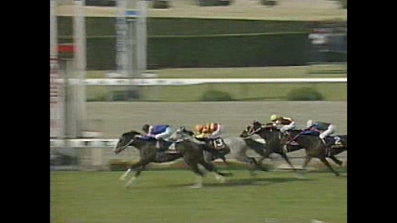 【競馬】 1996年 第56回 桜花賞 ファイトガリバー 関西テレビ版