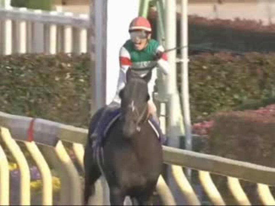 2006年 第7回ジャパンカップダート(GⅠ) アロンダイト - ニコニコ動画