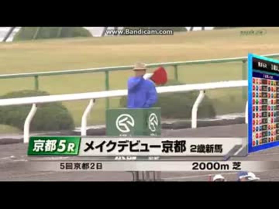11/8 京都5R メイクデビュー京都 サトノダイヤモンド