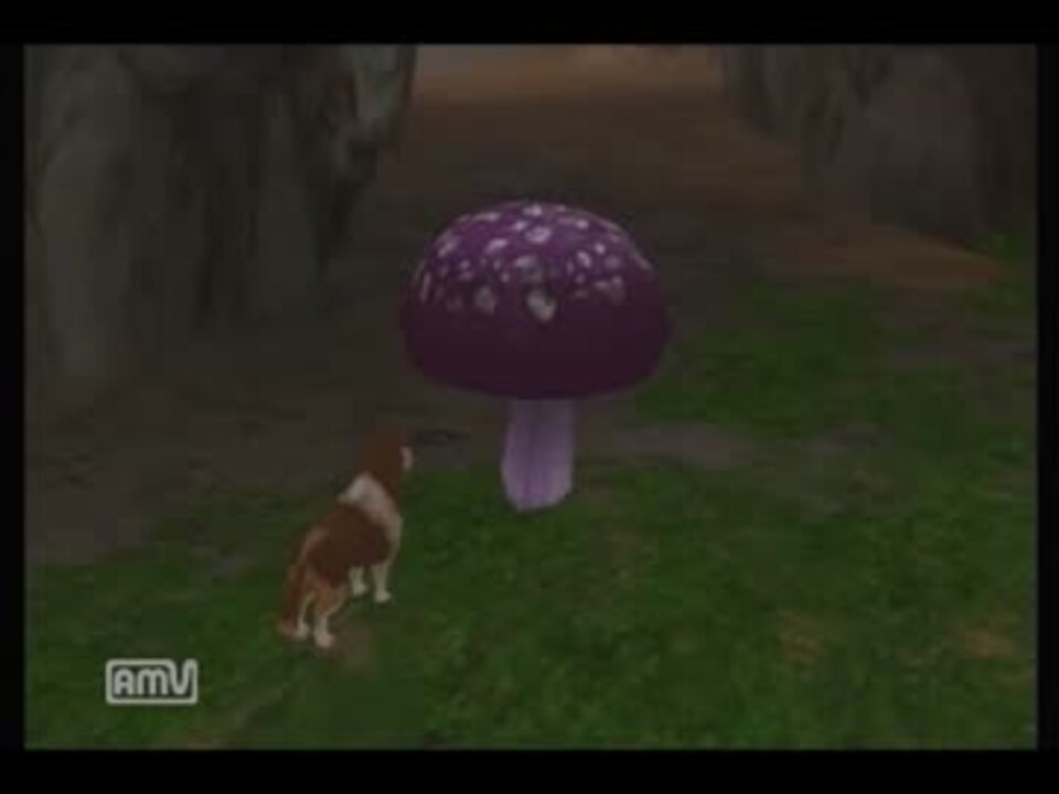 漂流者】サバイバルキッズwii【生きる】DAY11 2/2 - ニコニコ動画