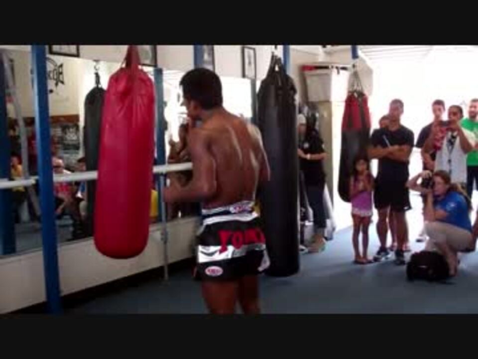 廃盤 FREITAG サンドバッグ 青/黄 1702 人型 サンドバッグ 自立型 高さ