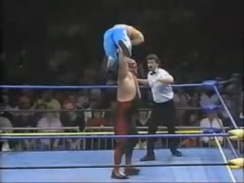 WWE ビックバンベイダー WWE マテル ビッグバン・ベイダー フィギュア（WWE マテル