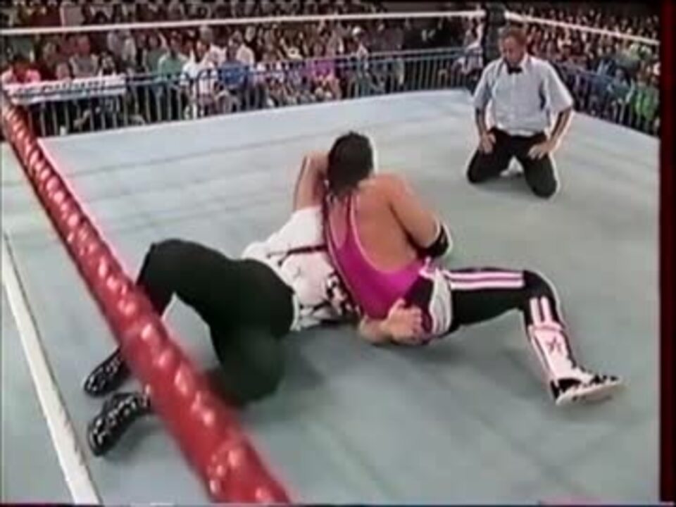 WWF スーパースターズ シリーズII ブレット・ハート ブレット・ハート WWE フィギュア エリート サバイバーシリーズ