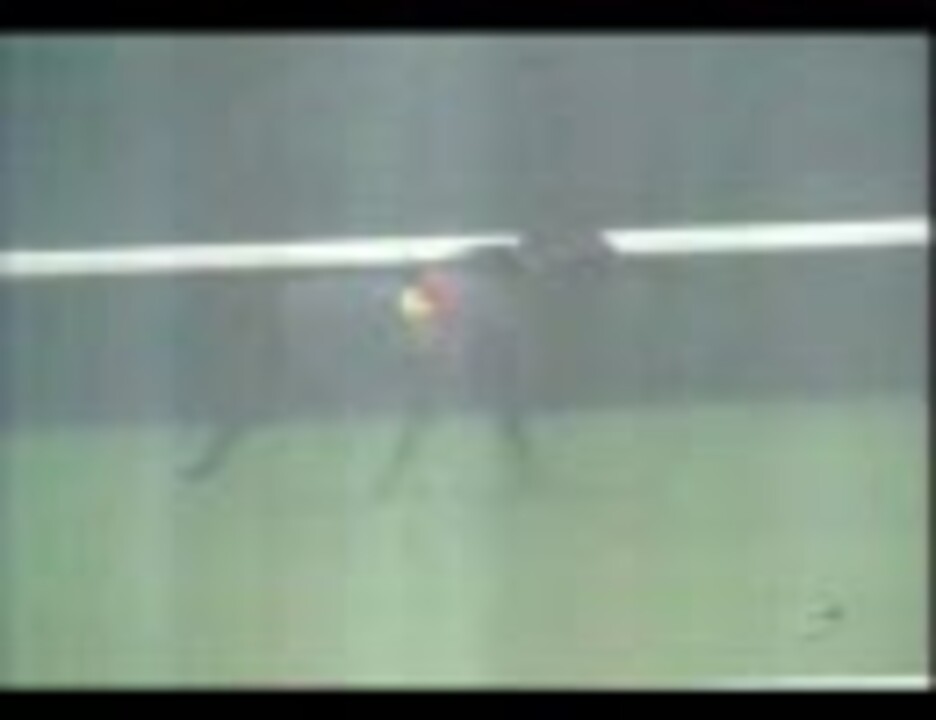 競馬】[2002年10月20日]菊花賞(GI) ヒシミラクル【家をたてやま