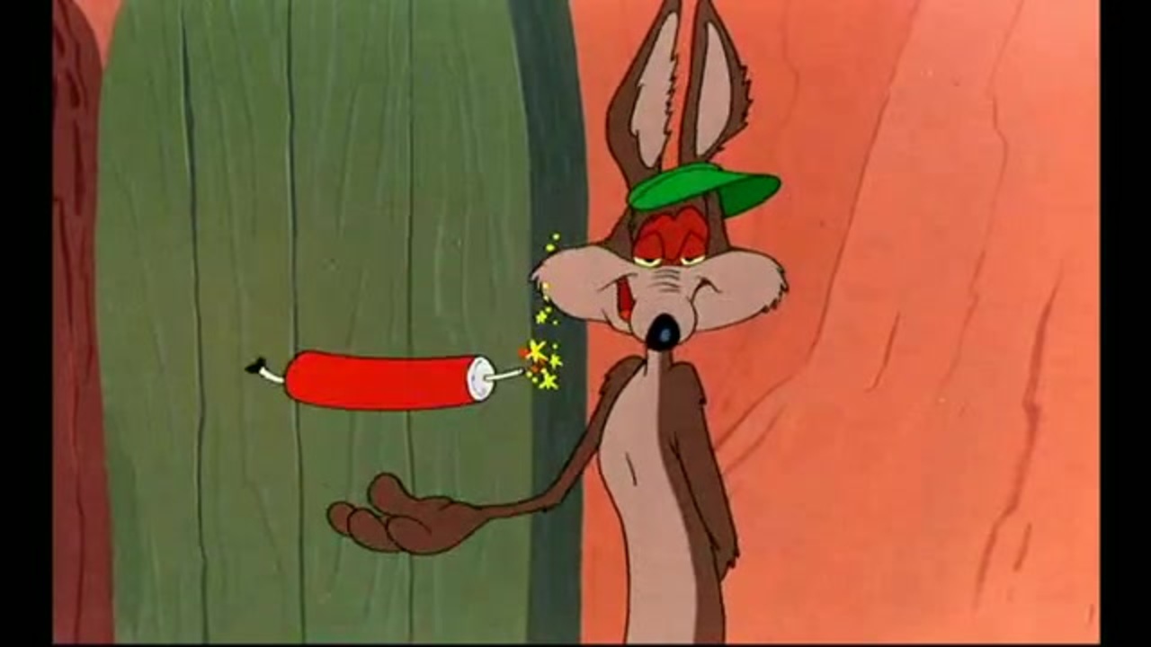 ワイリーコヨーテ/バックスバニー'90s ビックサイズ120cm ワイリーコヨーテ/バックスバニー'90s ビックサイズ120cm - メルカリ