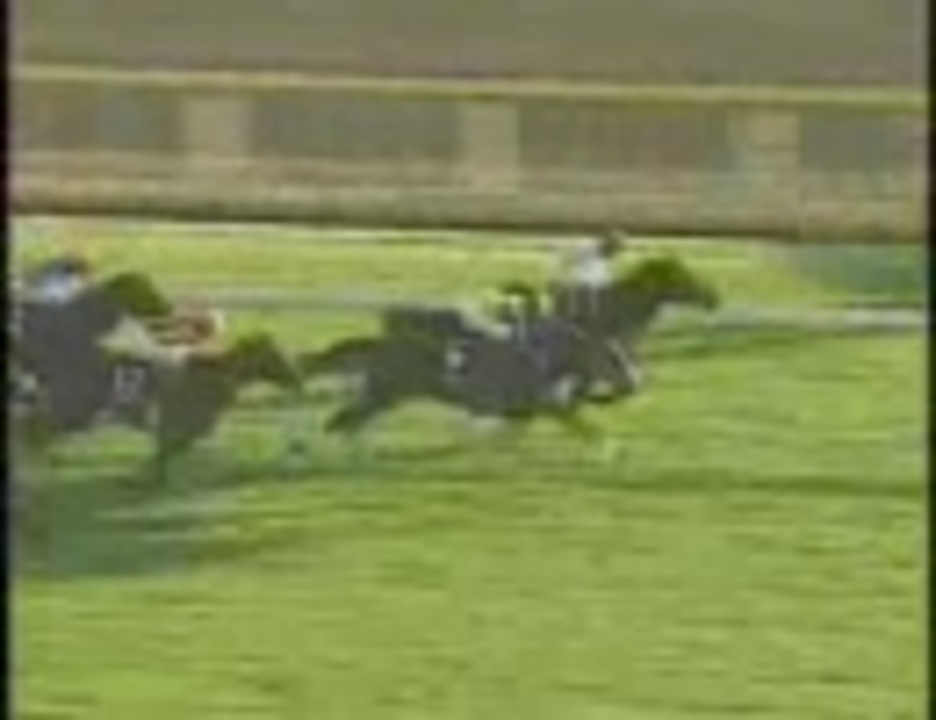 競馬】1997/ジャパンカップ(GI) ピルサドスキー - ニコニコ動画