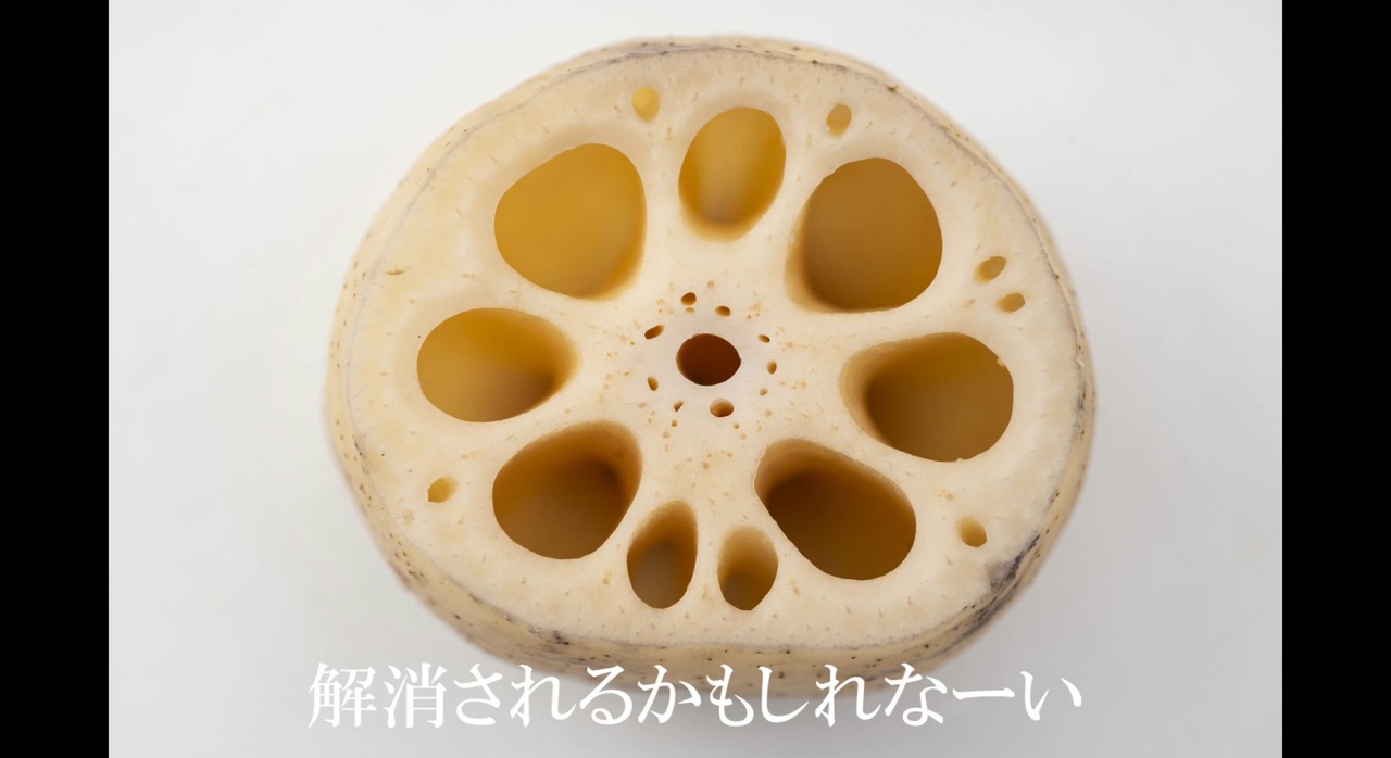 れんこん恋蓮根 / 東北きりたんx歌愛ユキ【れんこん投稿祭2022