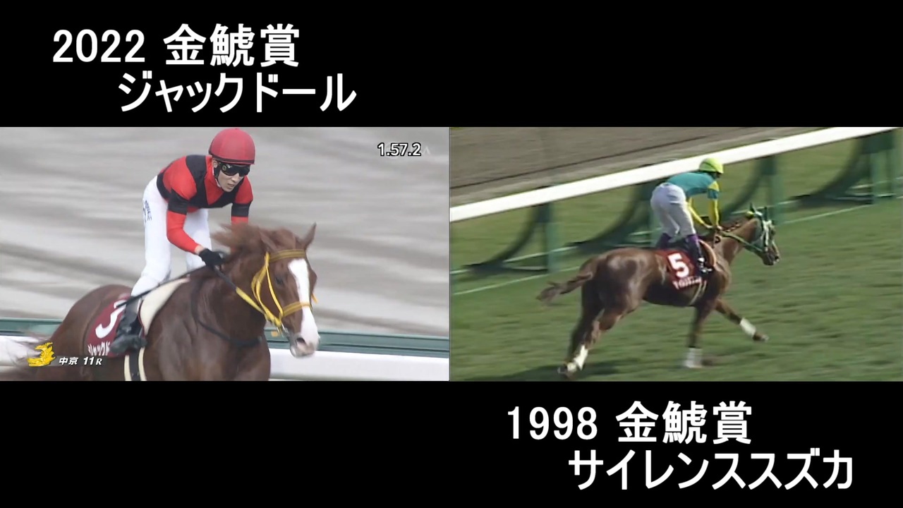 バーゲンで サイレンススズカ ぬいぐるみ 中京競馬場50周年記念 金鯱賞