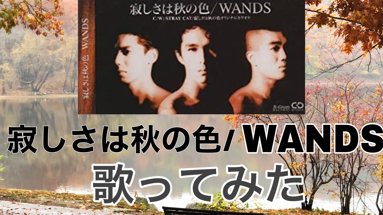 寂しさは秋の色/WANDS（歌ってみた） - ニコニコ動画