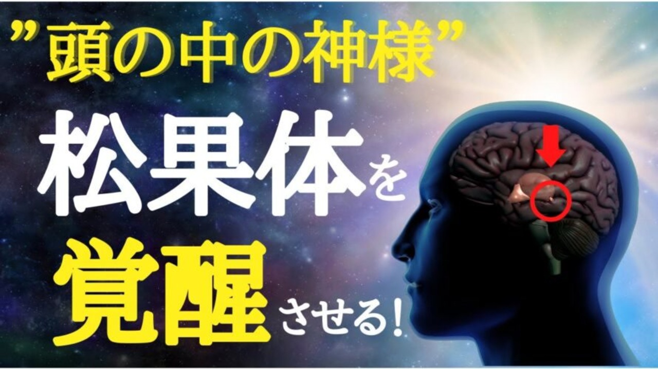 サードアイ・松果体の開眼、活性 チケット - チケット