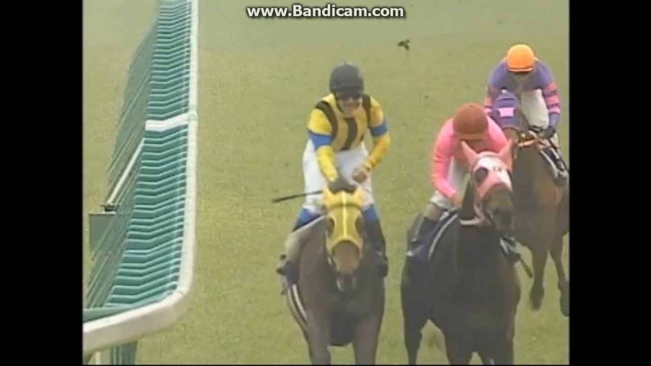 2003 皐月賞 ネオユニヴァース - ニコニコ動画