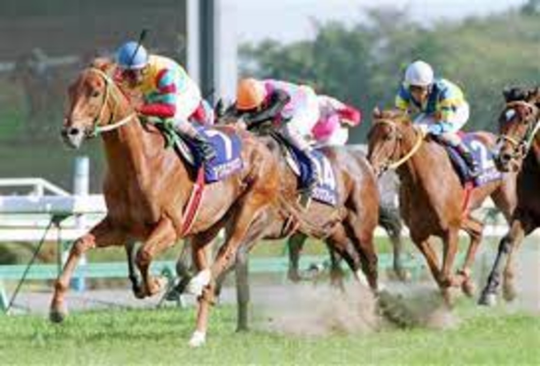 2001年 皐月賞 アグネスタキオン - ニコニコ動画