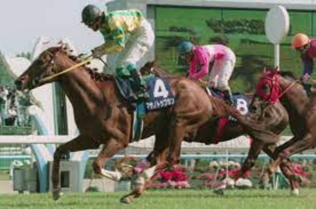 1997年 天皇賞春 マヤノトップガン - ニコニコ動画