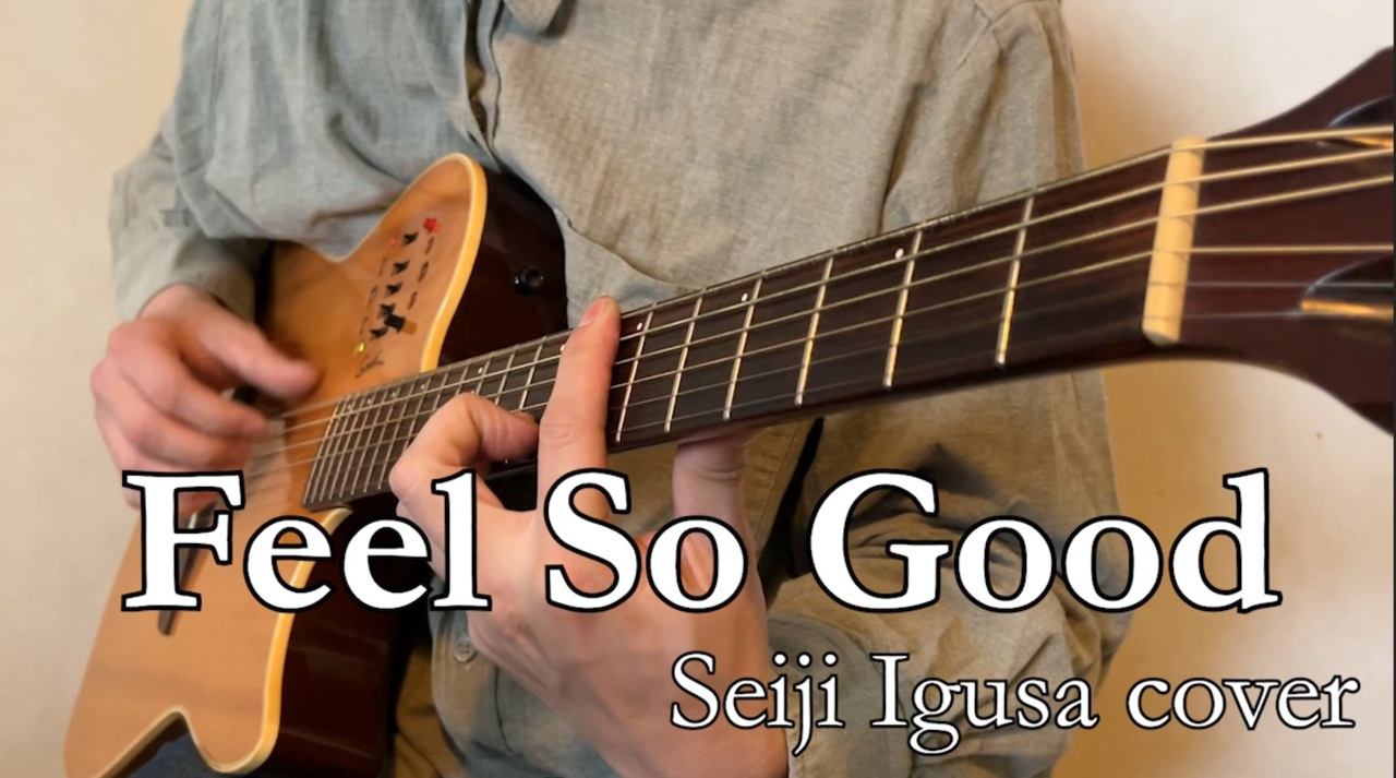 Feel So Good | Seiji Igusa をアコギで弾いてみました