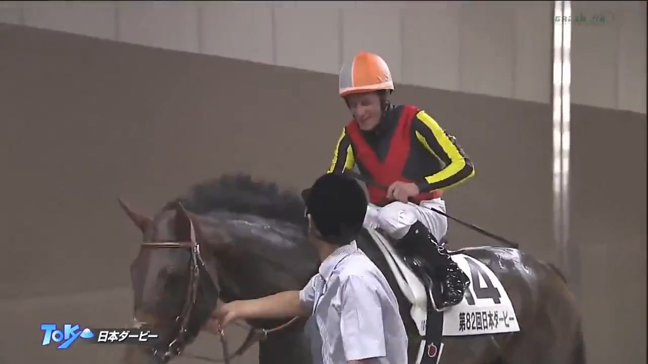 競馬 けいば 第82回 日本ダービー GⅠ 優勝 ドゥラメンテ ミニゼッケン
