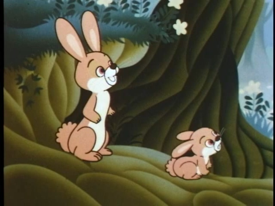 Amazon.co.jp: タオタオ絵本館・世界動物ばなし Vol.4 [DVD] : DVD