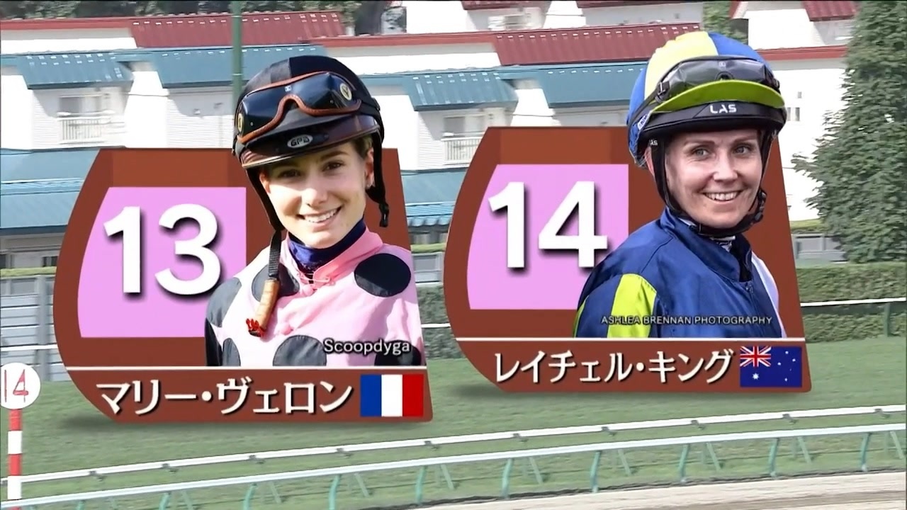 2017 ワールドオールスタージョッキーズ　オリジナルステンレスボトル　競馬 地方競馬全国協会(NAR)公式 on X: 