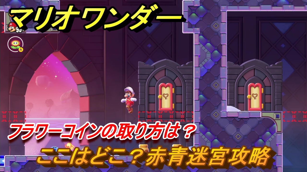 マリオワンダー　ここはどこ？赤青迷宮攻略　フラワーコインの取り方は？　＃１１８　【スーパーマリオブラザーズ ワンダー】