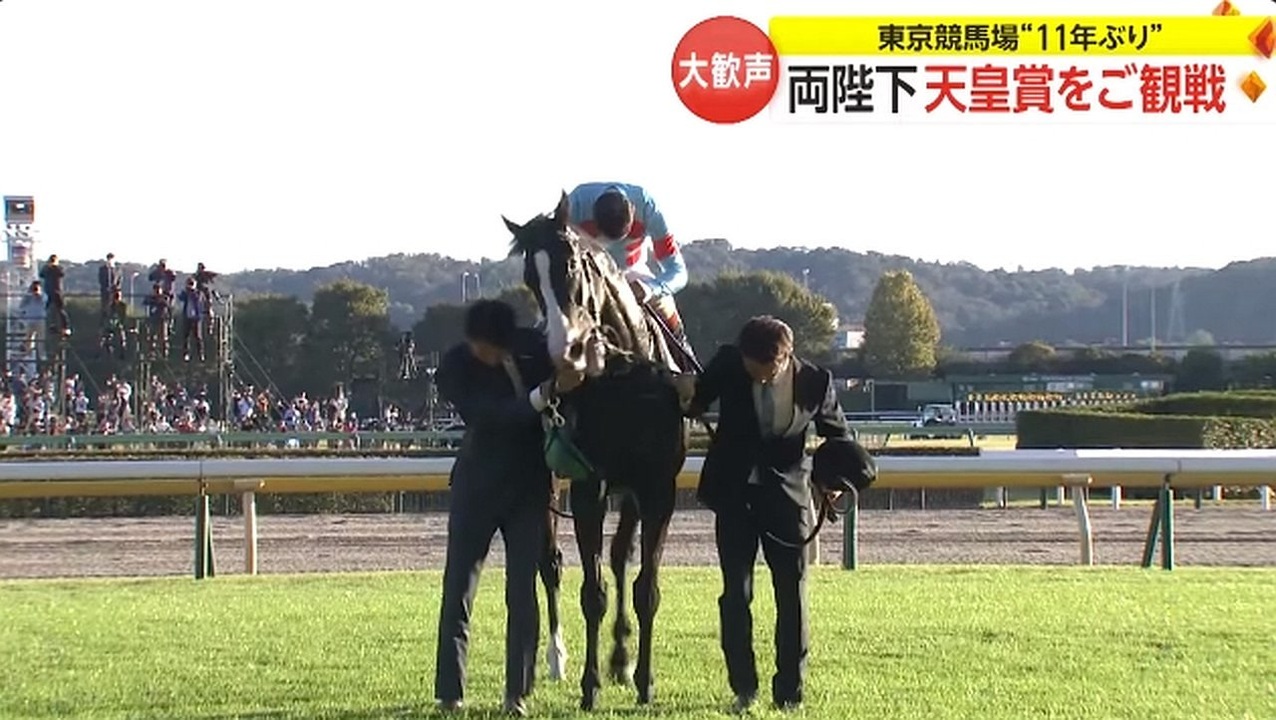 2023 天皇賞（秋） イクイノックス騎乗のC.ルメール騎手