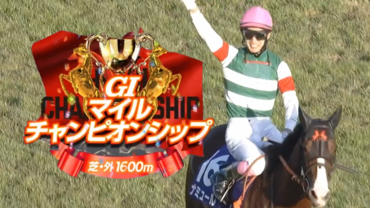 競馬】2023年 第40回マイルチャンピオンシップ(GⅠ)【ナミュール