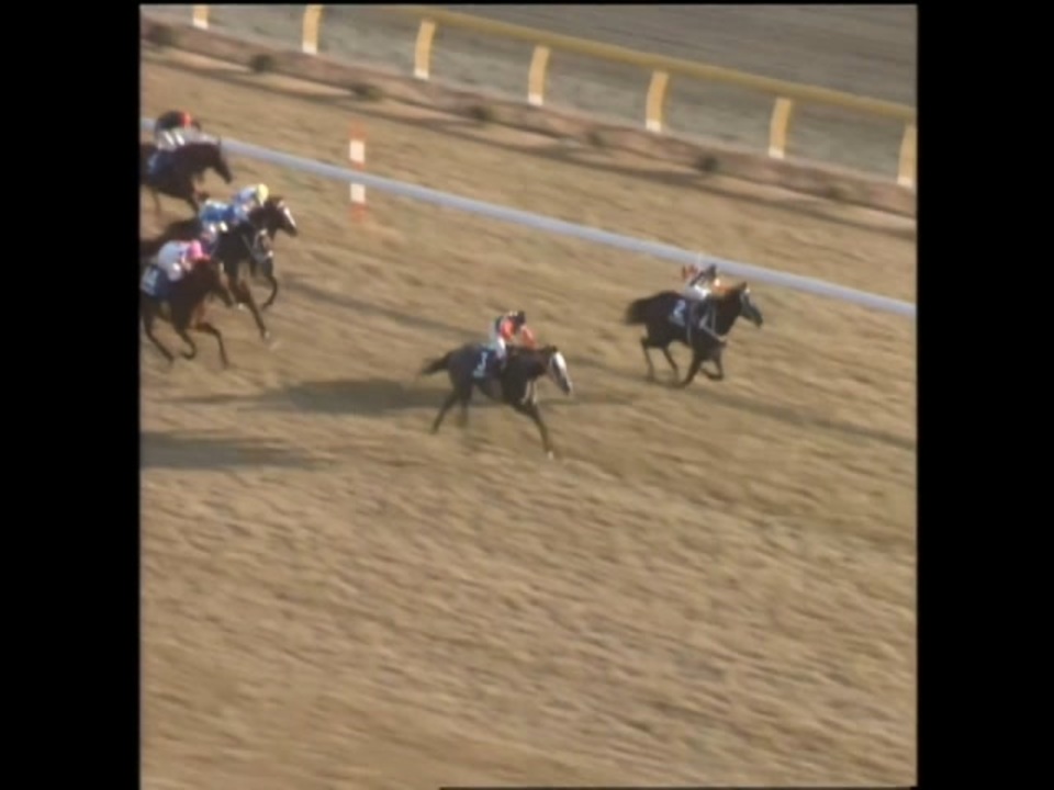 ゔ*す様 97年 第17回ジャパンカップ 14頭全馬券 1997年 ジャパン
