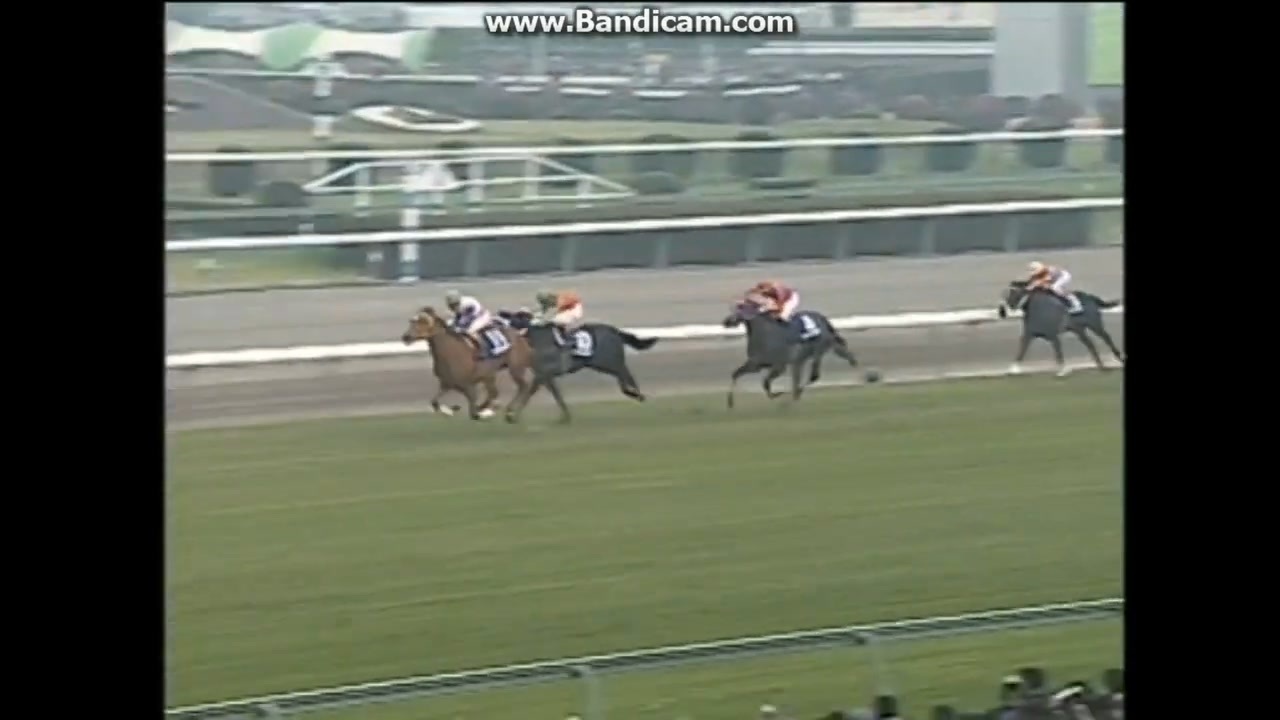 1997 朝日杯3歳S グラスワンダー - ニコニコ動画
