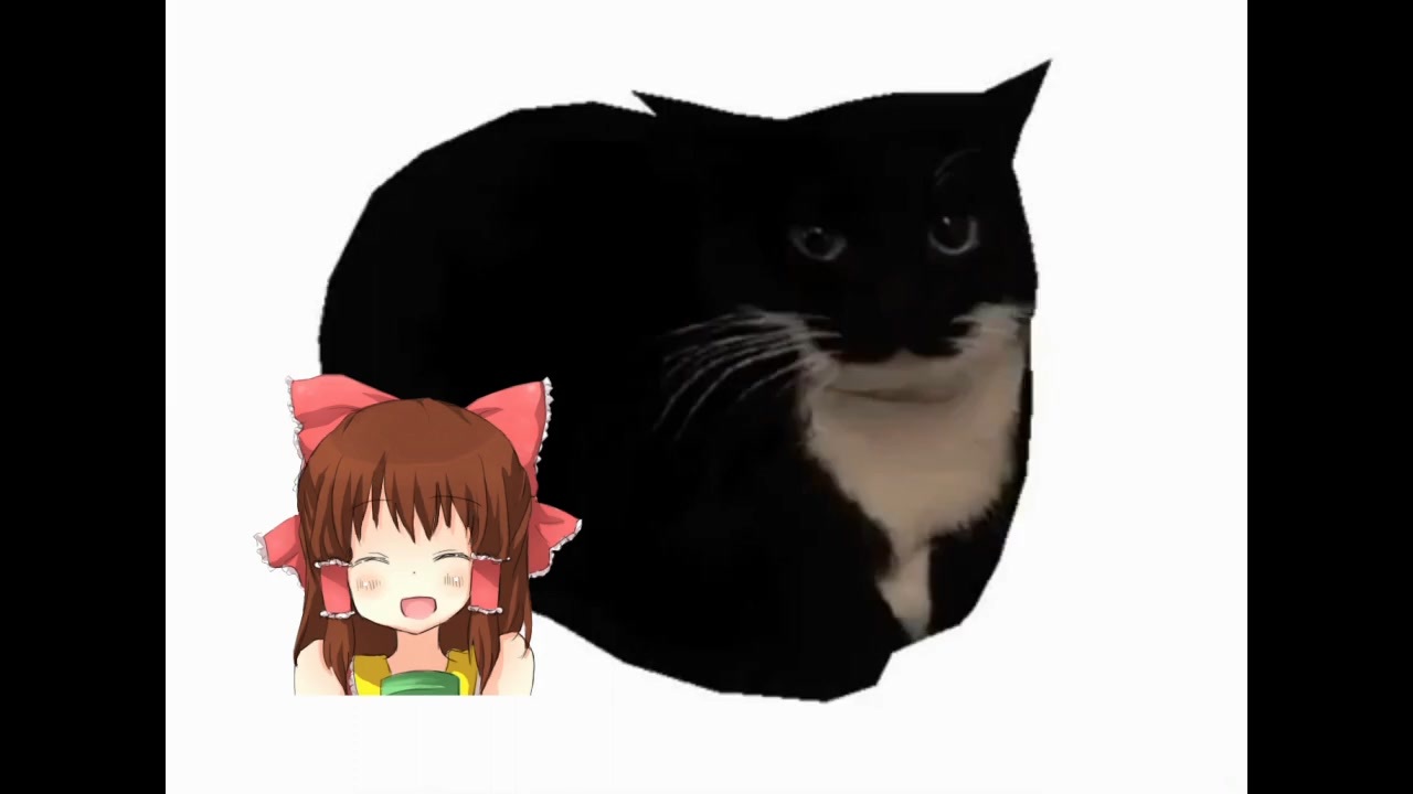 ニコニコ Maxwell_the_Cat神社.mp4 - ニコニコ動画