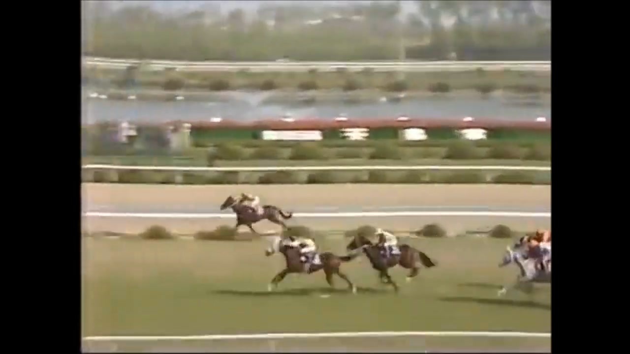 ミホシンザン 天皇賞春 現地的中単勝馬券 期限切れ 換金不可 完璧わいふによる 12番人気、単勝4650円の関東馬に◎のワケ 1.4