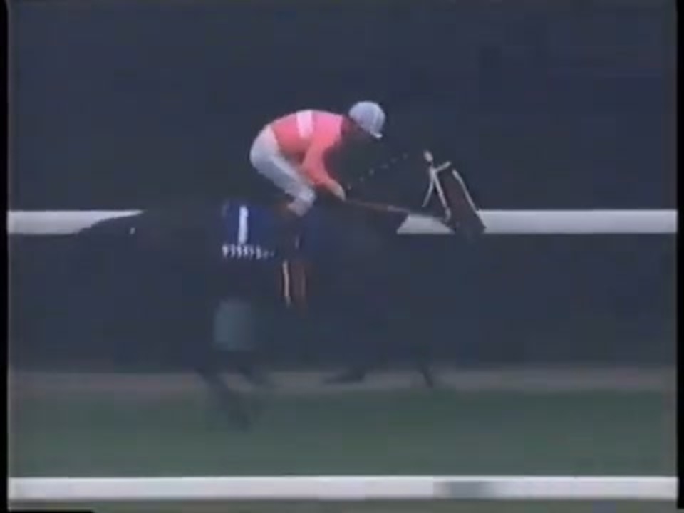 1995年(平成7年度)第112回天皇賞(秋) サクラチトセオー