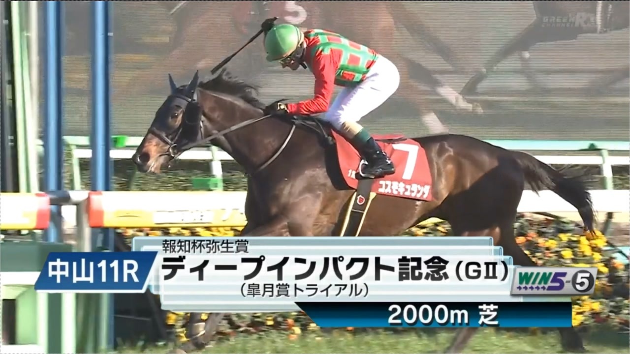 競馬】2024年 第61回弥生賞ディープインパクト記念(GⅡ)【コスモ