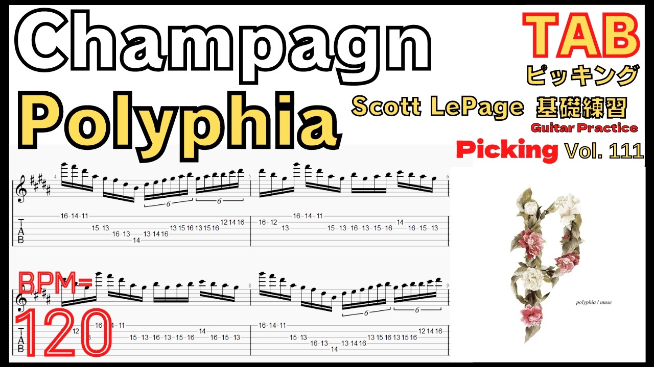 Champagne - Polyphia TAB Scott LePage Part Guitar ポリフィア シャンパン ギターソロ  ギター速弾き練習【Guitar picking Vol.111】