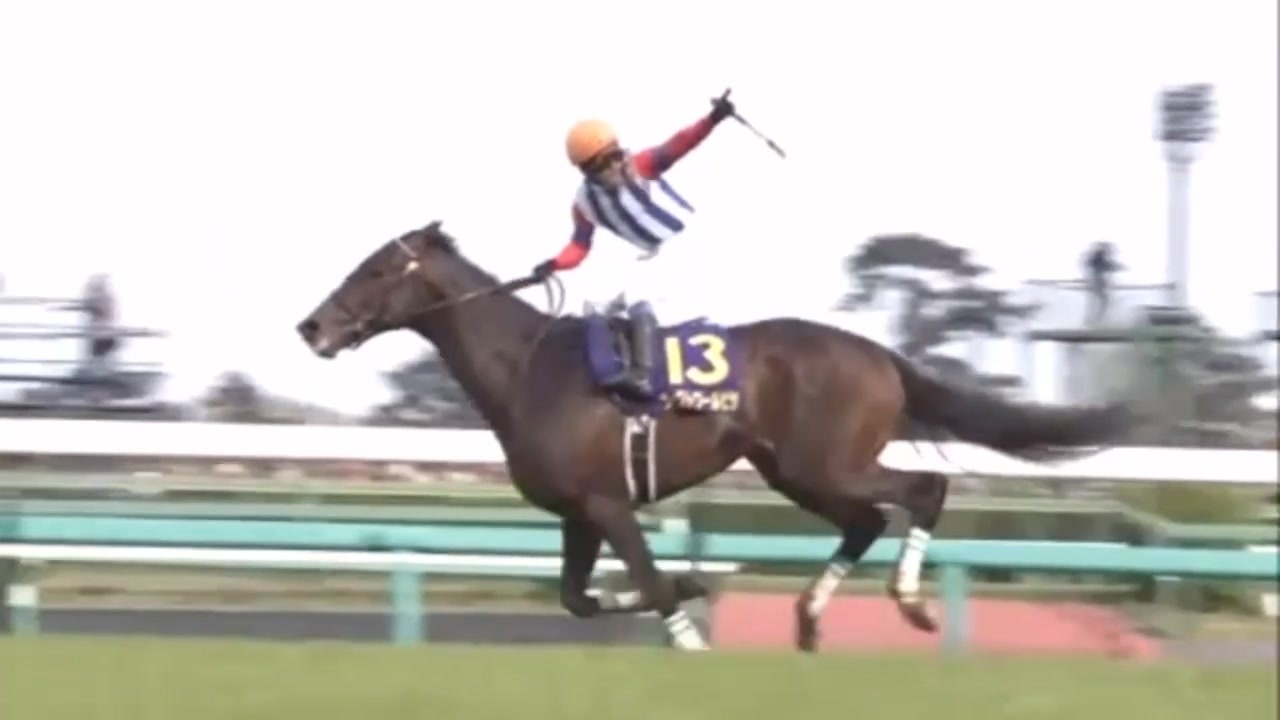 ウマ娘風】第70回皐月賞GⅠ(2010)【ヴィクトワールピサ】 - ニコニコ動画