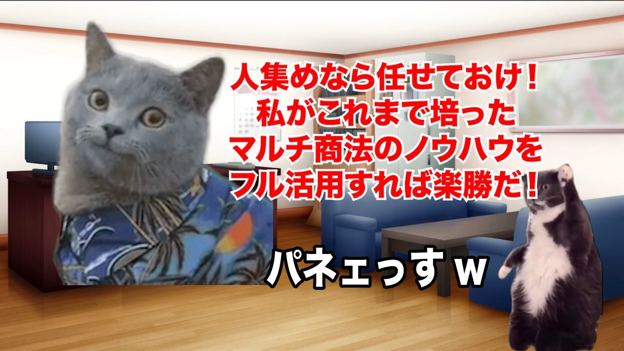 【円天】マルチ商法のパイオニアが考案した「使っても減らないお金」 #猫マニ #猫ミーム