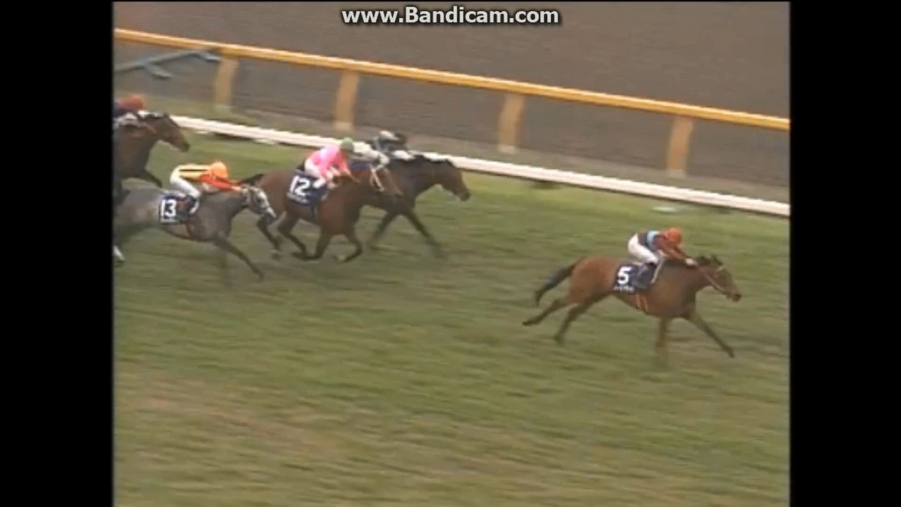 1994 安田記念 ノースフライト - ニコニコ動画