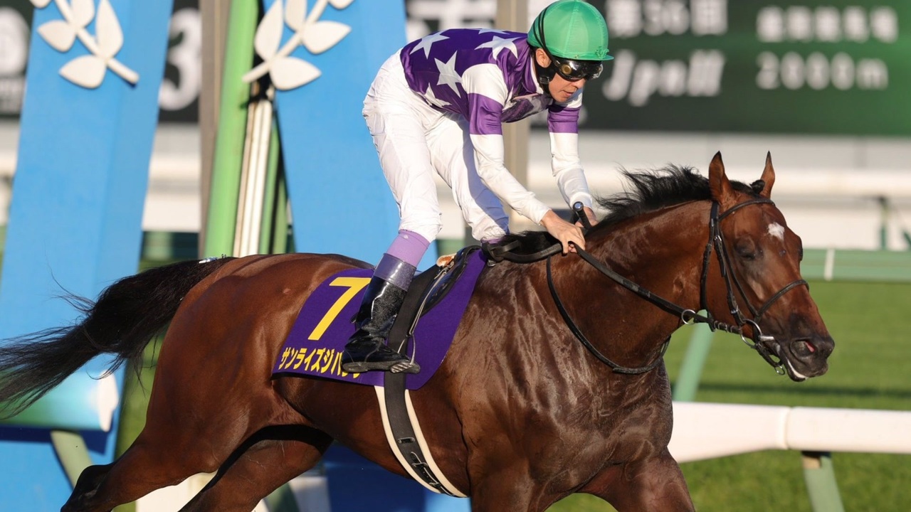 競馬】2024年 第56回不来方賞(JpnⅡ)【サンライズジパング / 武豊