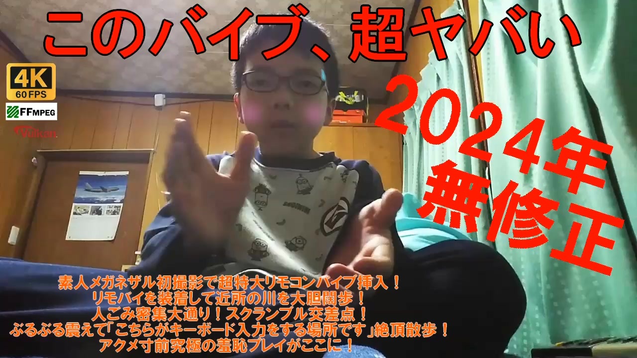 素人　バイブ バイブ合作2024 - ニコニコ動画