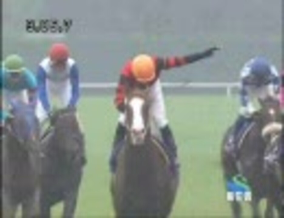 クリアランス最安 競馬 EPOCH HORSE RACING オウケンブルースリ www